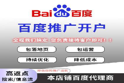 百度推广的成功案例：从零到一的突破